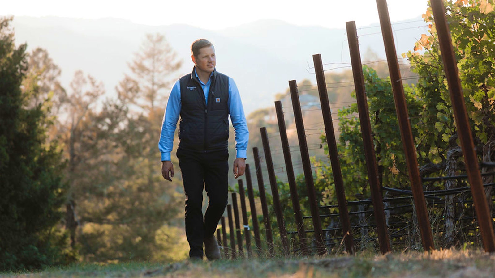 Winemaker Michael Coode in a Napa Valley, California, vineyard